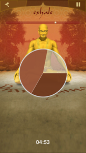 Pranayama_app_inaction